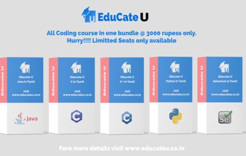 bundle for website promo